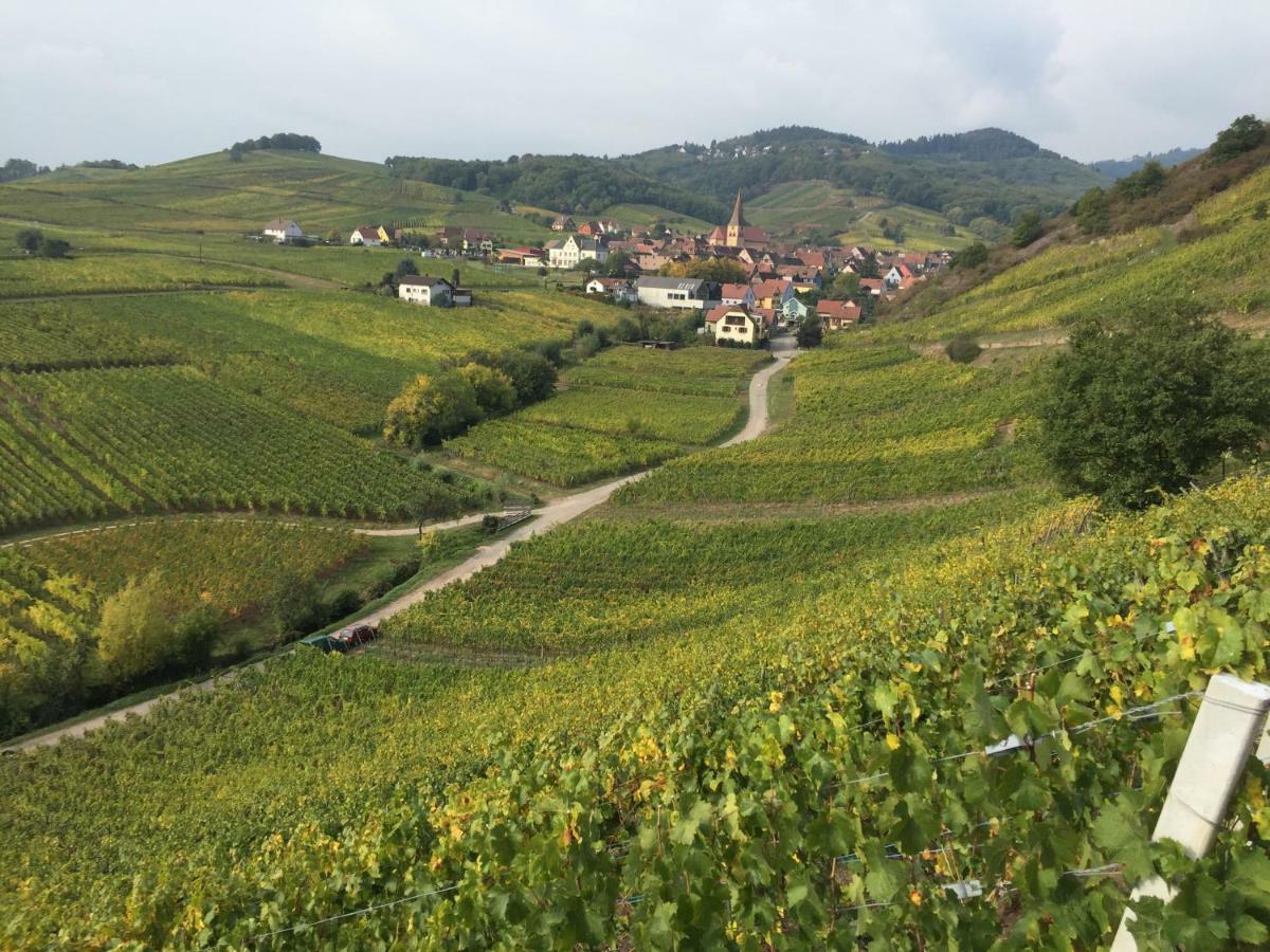 Caveau 1751 Niedermorschwihr Esterno foto